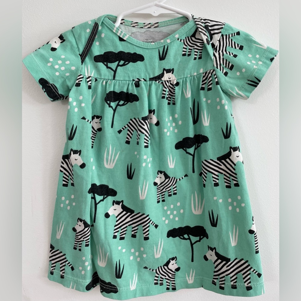 Winter Water Factory; 12 months; mint green with cute zebras